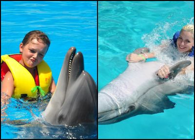 Side Schwimmen mit Delfinen